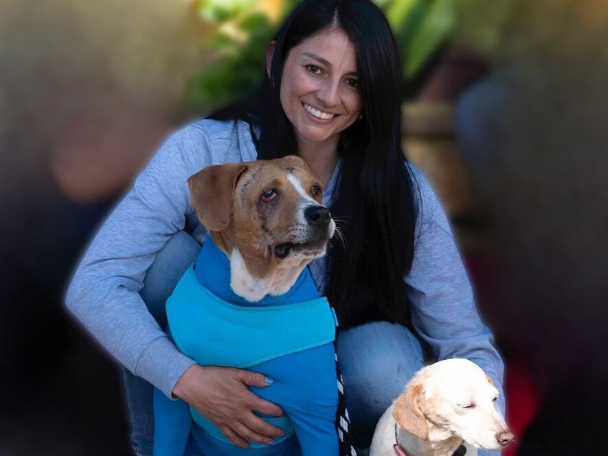 Vivian Nieto lleva más de 8 años en la protección y bienestar animal. Foto | @AsociacionMi