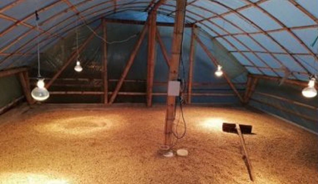 Silo para secado de café con temperatura regulada