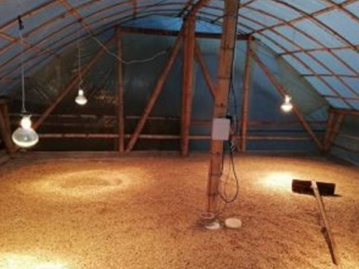 Universidad de Manizales crea silo fotovoltaico para el secado del café