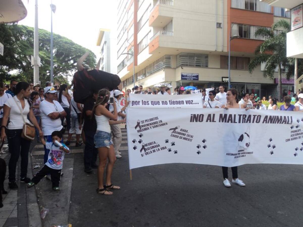 Armenia marchó contra el maltrato animal