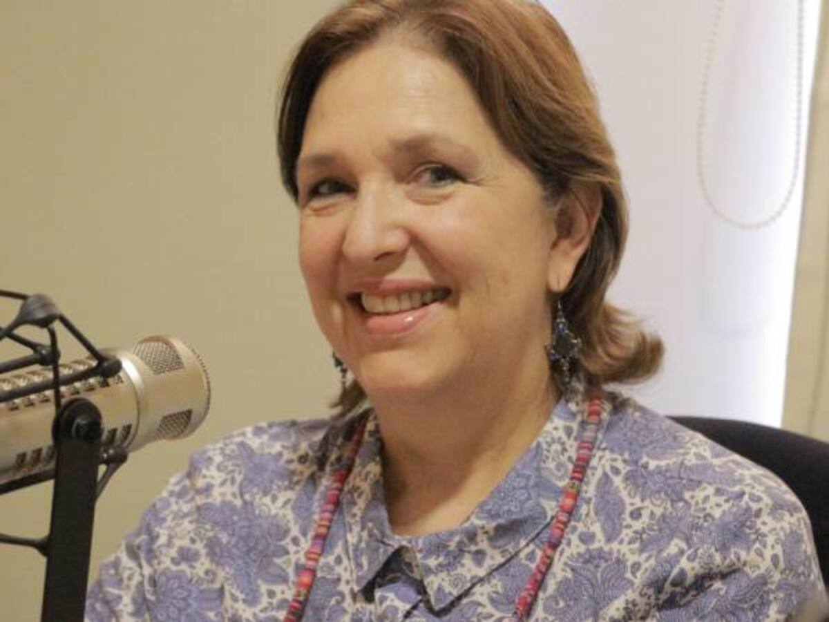 “No podemos regular lo de ahora con una mentalidad del siglo XIX”: Mejia