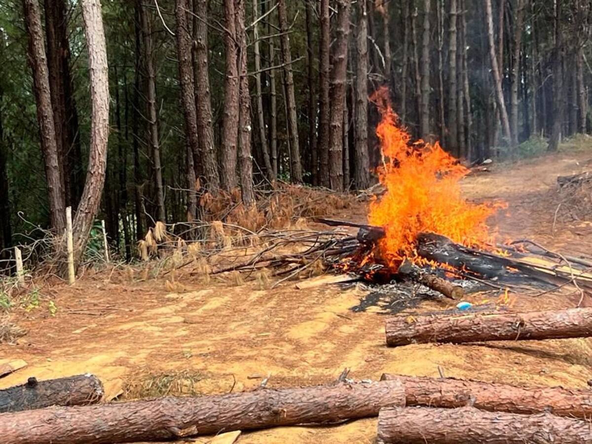 Gremios rechazan ataques por parte de reclamantes de tierras en el norte del Cauca