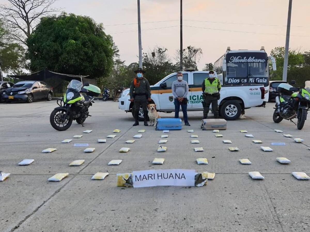 Policía incauta 40 kilos de marihuana en Córdoba