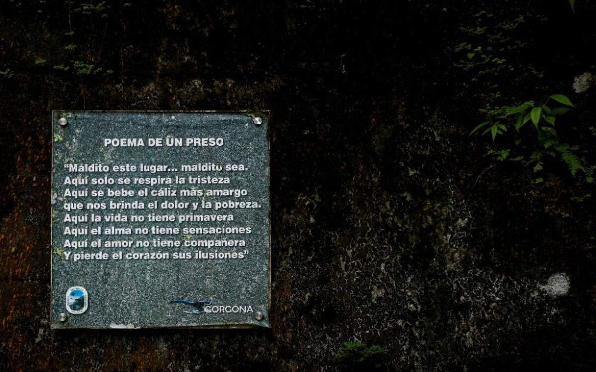 La naturaleza reclama su territorio y se instala en las ruinas de lo que alguna vez fue un temido lugar de reclusión en el Pacífico colombiano.