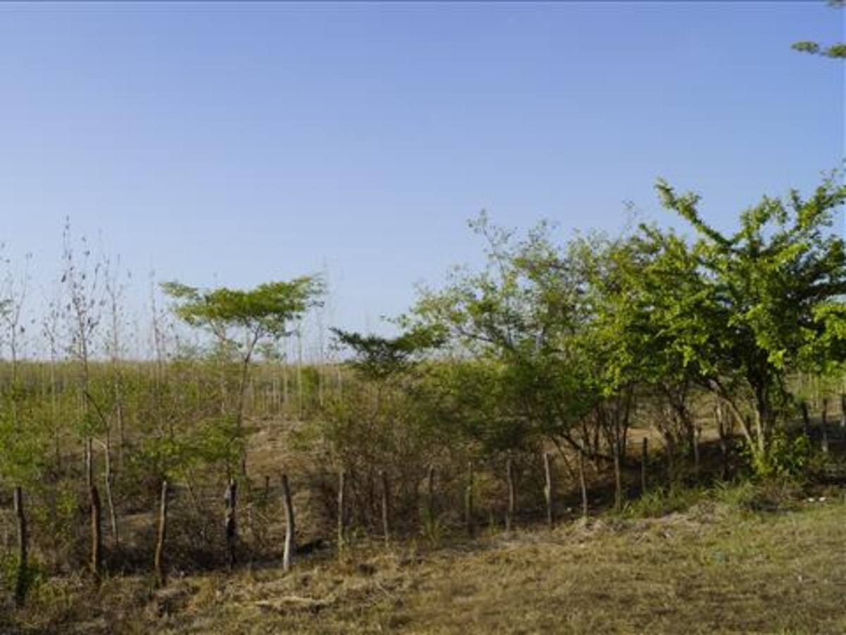 Procurador advierte falencias en la atención de sequía en el país