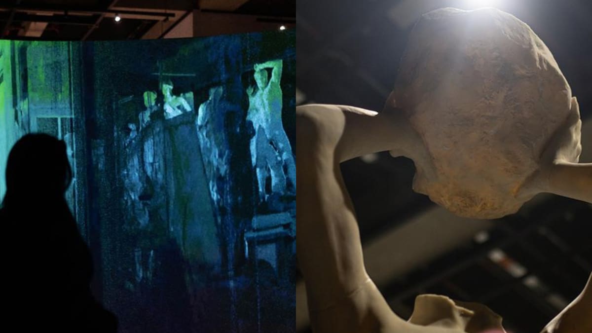 Así es ‘The Cast’, la exposición artística en Bogotá que recorre la historia del cine