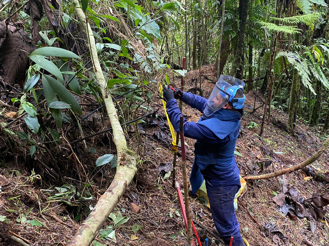 En Santander solo cuatro municipios faltan por estar libres de minas antipersonales