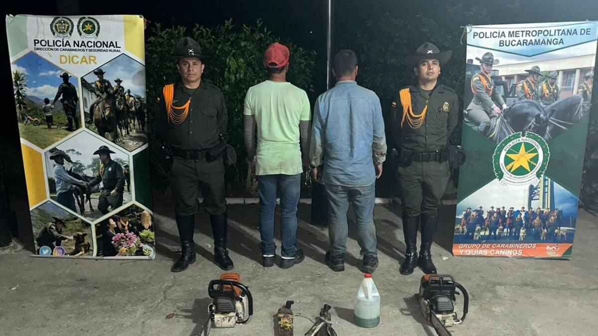 Capturan a dos personas por la tala de más de 100 árboles en Lebrija