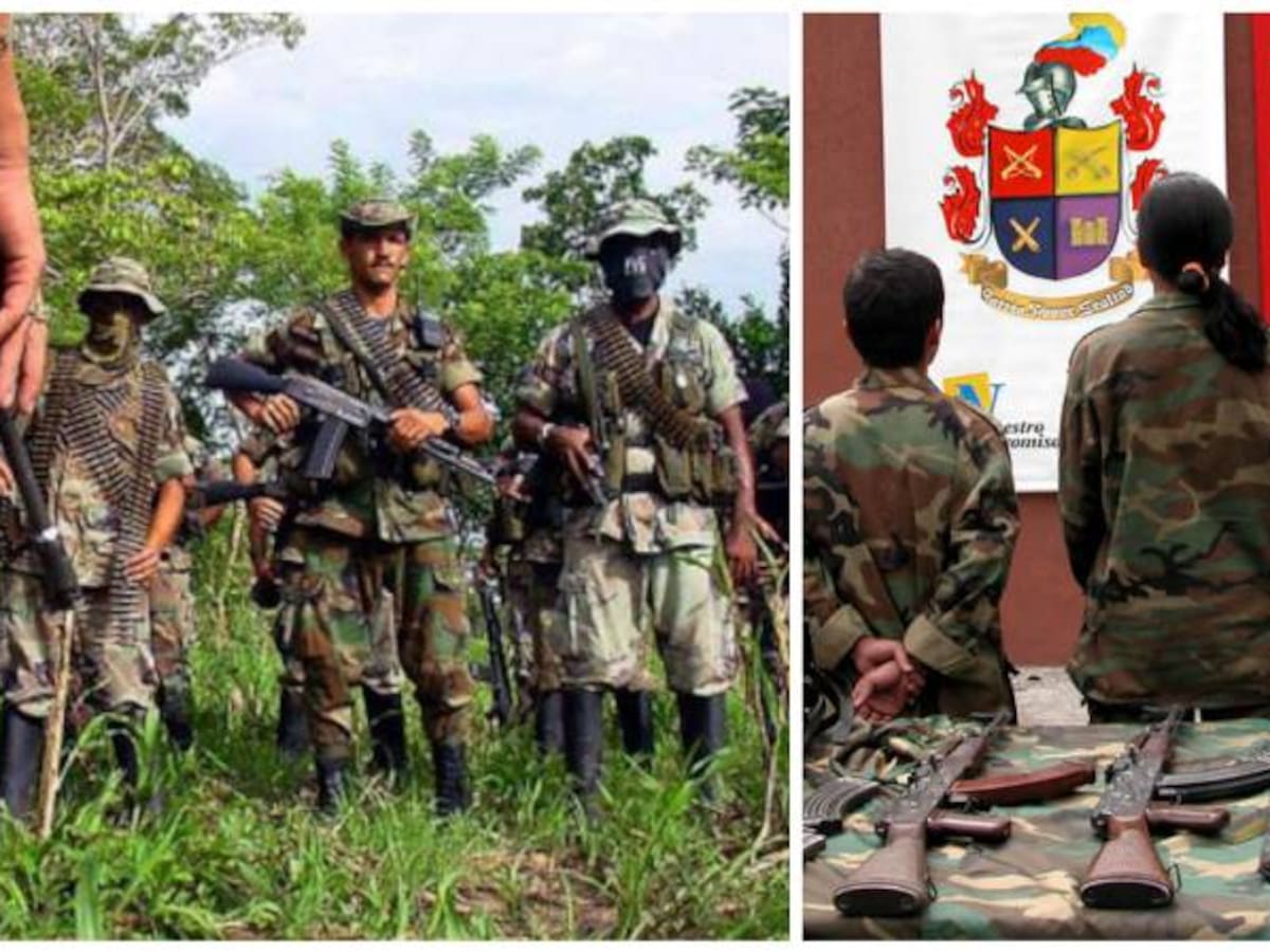 Colombianos, más dispuestos a perdonar a las Farc que a los ‘paras’