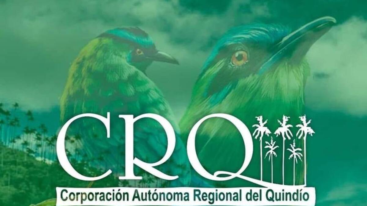 Diego Felipe Urrea, impugnación fallo director CRQ