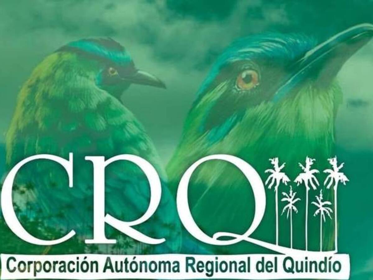Sigue suspendido proceso de elección de director de Corporación Autónoma Regional, CRQ