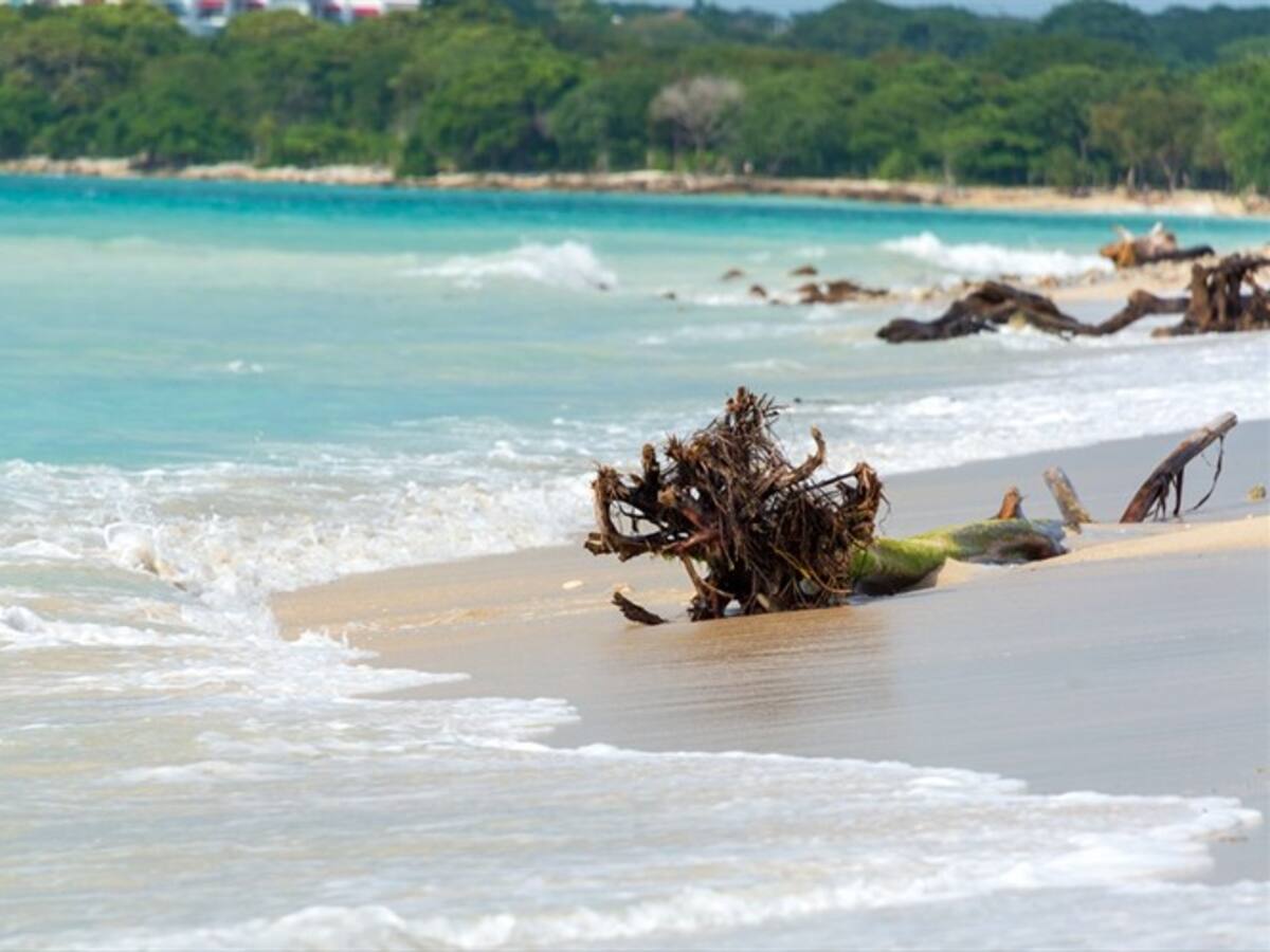 Autoridades ponen la lupa sobre lote de Barú