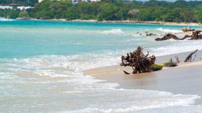 Se acentúa la pelea entre comunidades y entidades estatales por el lote de Barú de más de 200 hectáreas. Foto: Getty Images