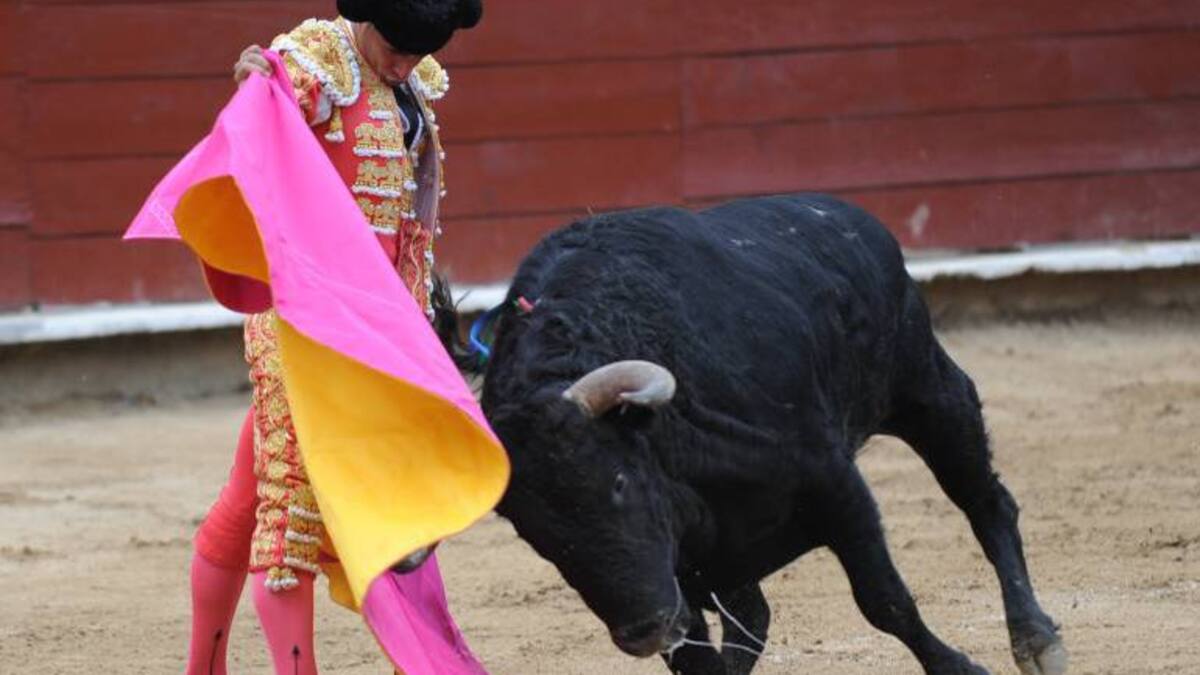 Debate sobre prohibición de corridas de toros vuelve al Congreso: ¿en qué va la discusión?