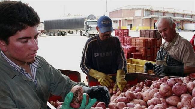 Imagen de referencia. Foto: Colprensa