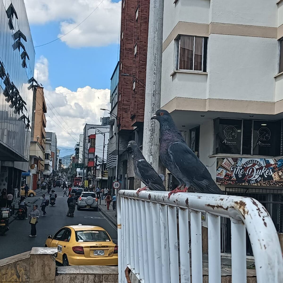 Viernes 24 de abril, las noticias más importantes de Armenia y Quindío