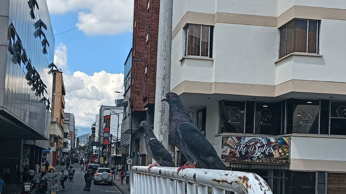 Viernes 24 de abril, las noticias más importantes de Armenia y Quindío