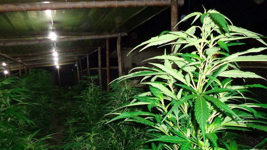 Imagen de referencia. Foto: Colprensa