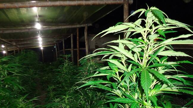 Imagen de referencia. Foto: Colprensa