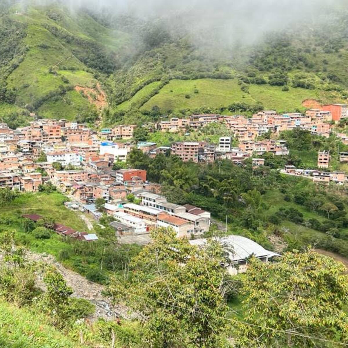 Estamos apoyando a la fuerza pública para que en Briceño ponga a correr a los criminales: gobernador