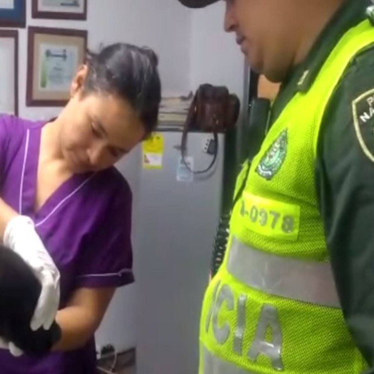 Capturado en Palmira hombre que abusaba sexualmente de una perrita