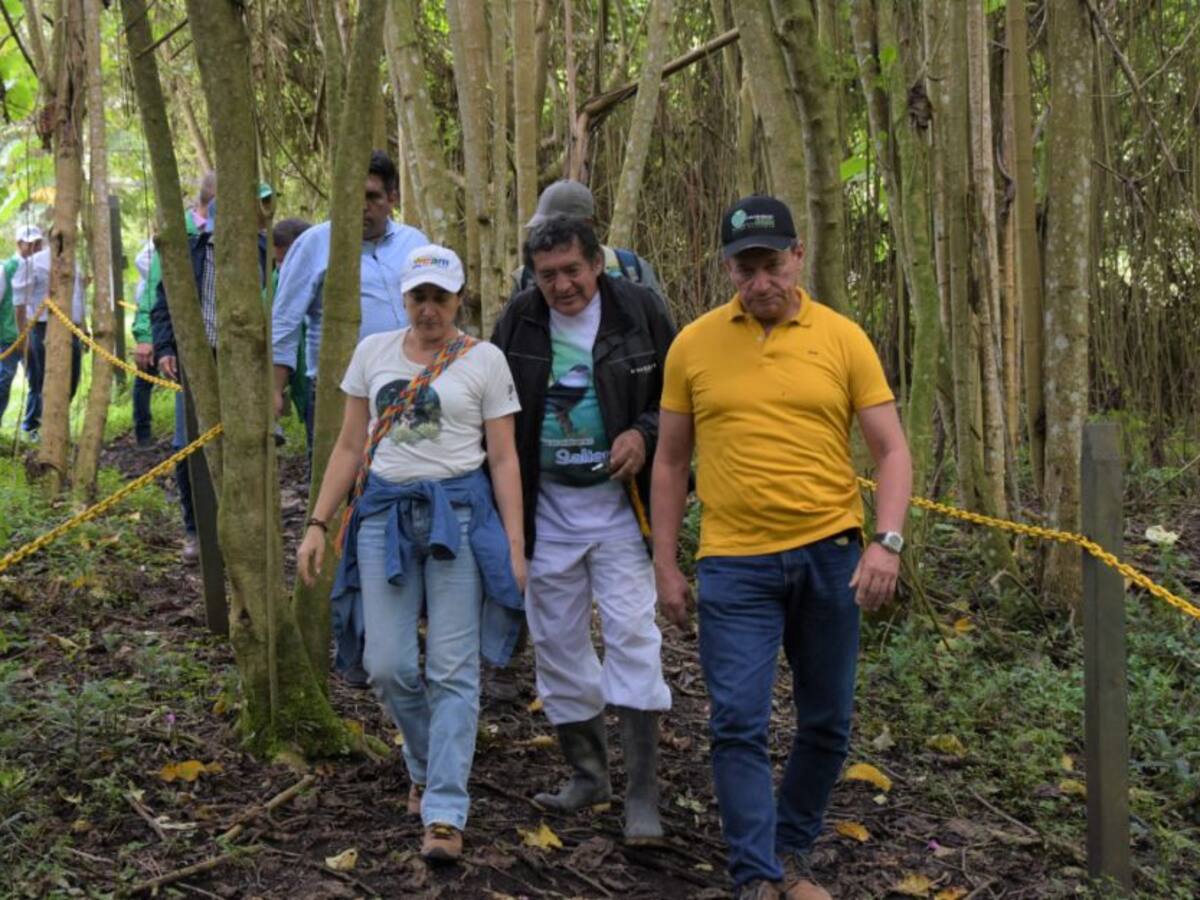 En zona rural de Neiva se han reparado 10 mil hectáreas de bosques