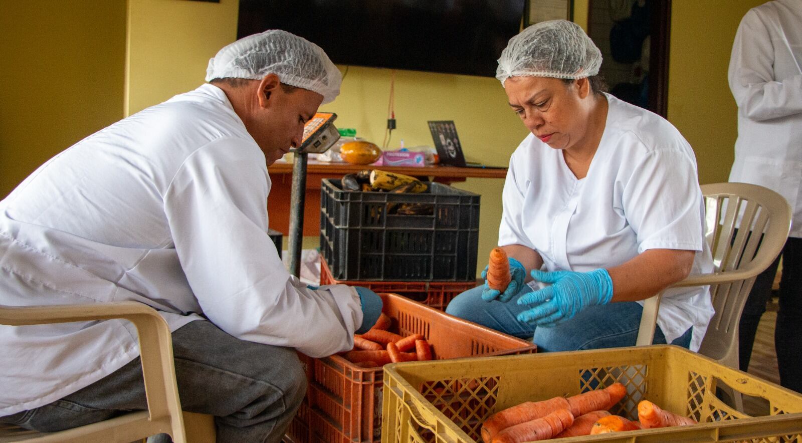 Alianza Cero Hambre en Medellín. Cortesía: Alcaldía de Medellín