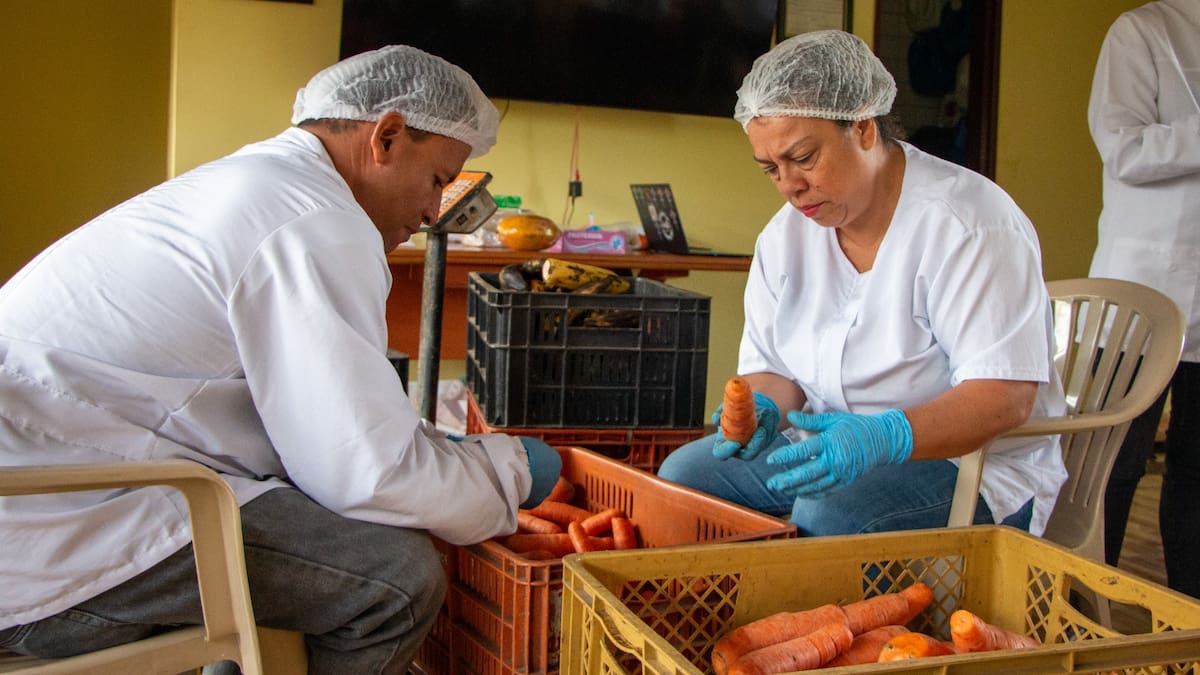 Medellín ha recuperado 154 toneladas de alimentos aptos para el consumo en la alianza Cero Hambre