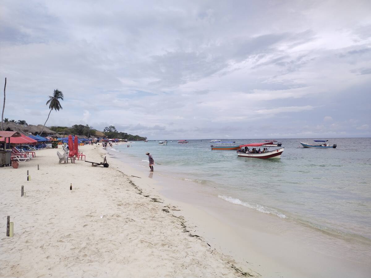 Negocio que esté contaminando en Barú será cerrado: Dumek tras alerta de Cardique
