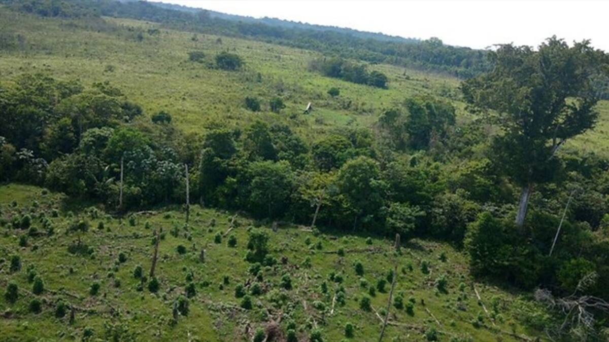 La Agencia Nacional de Tierras recupera terrenos baldíos en Córdoba