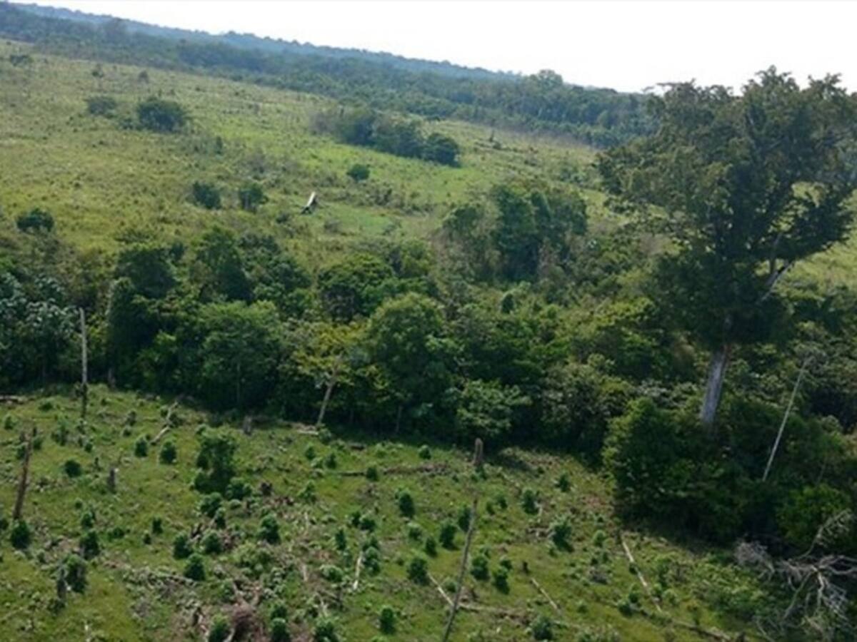 Minambiente radica proyecto de ley para adjudicar baldíos en zonas de reserva