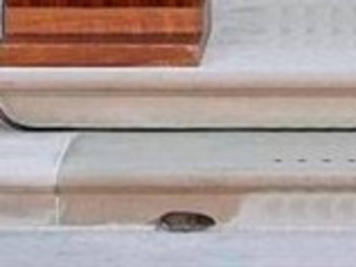 Un ratón se cuela en la Casa Blanca