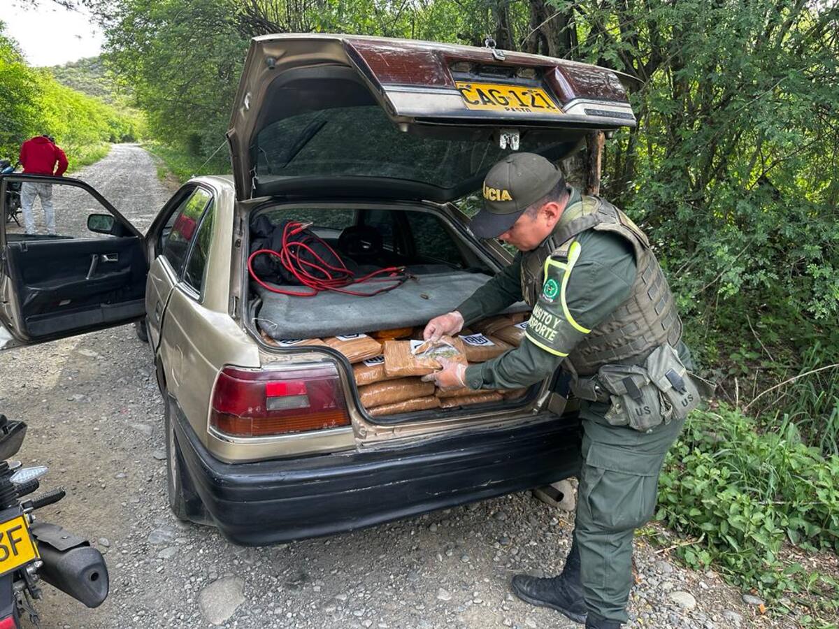 Incautan más de 200 mil dosis de marihuana en el Rosario, Nariño