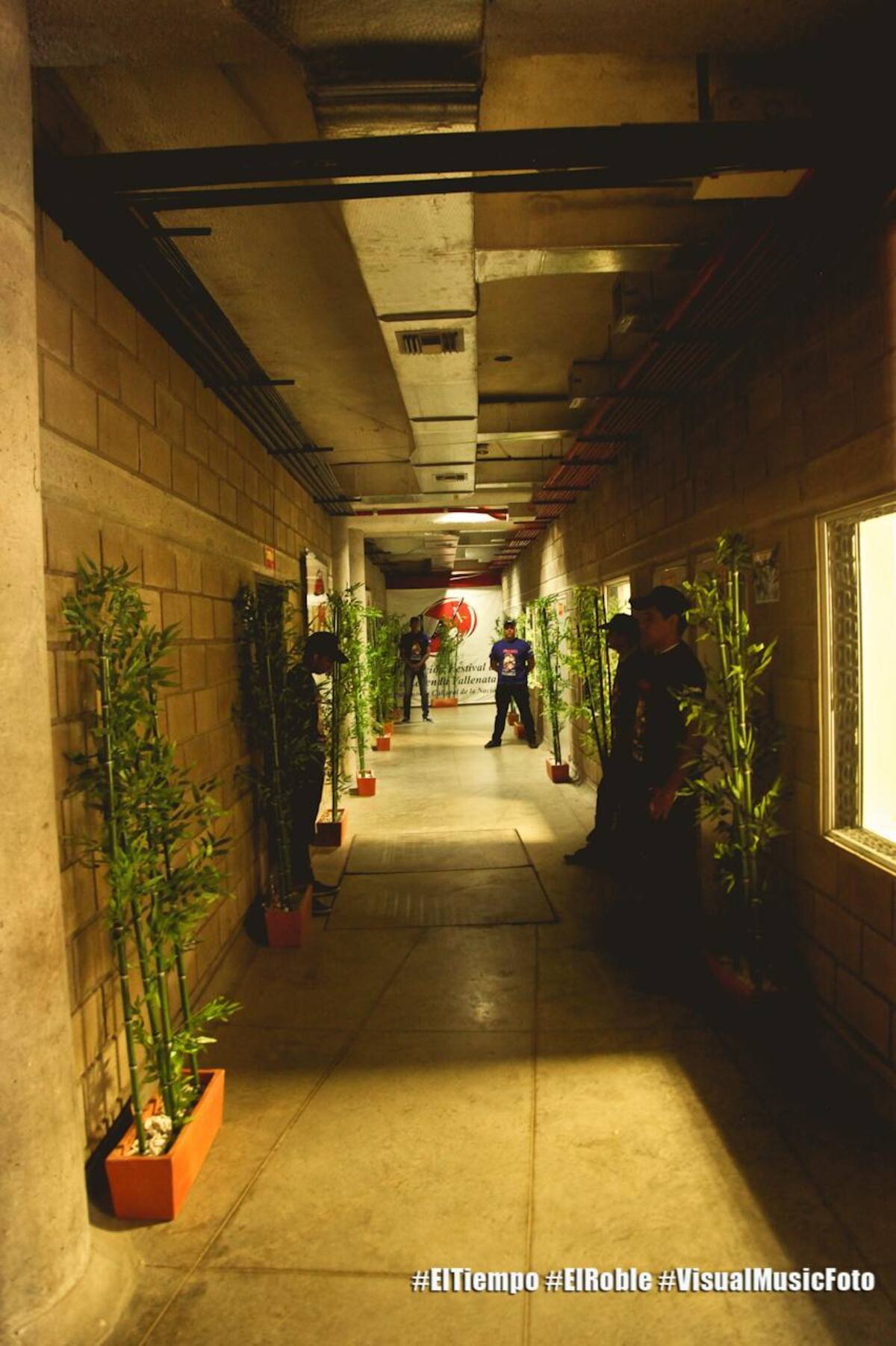 Título de la imagen