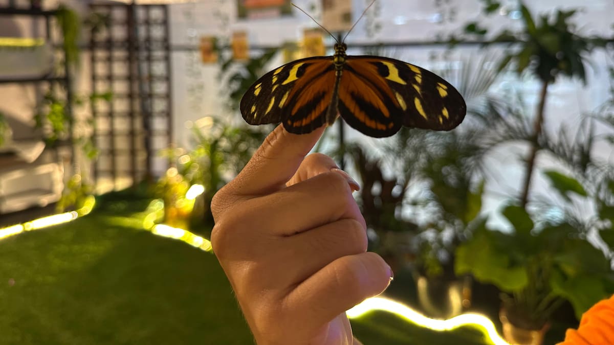 Natalia Paola Plata Montalvo, vocera del proyecto.