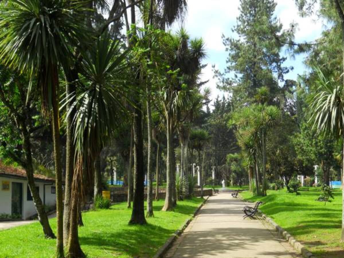 TransMilenio por la Séptima solo interviene 0,4% del Parque Nacional: IDU