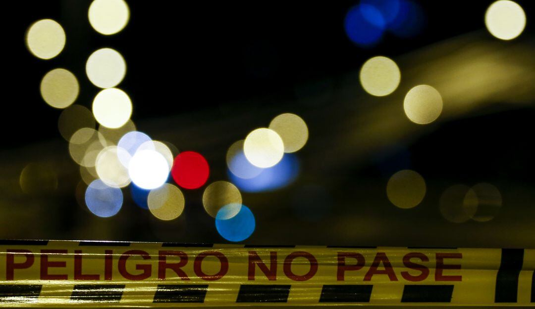 Imagen de referencia 