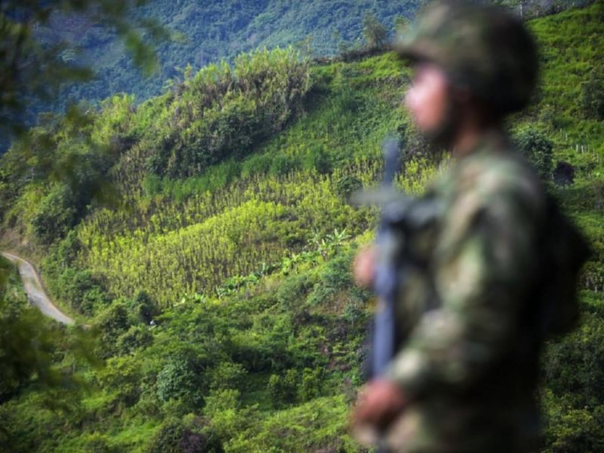 “Las comunidades campesinas no somos enemigos”: población sobre aumento de hechos violentos