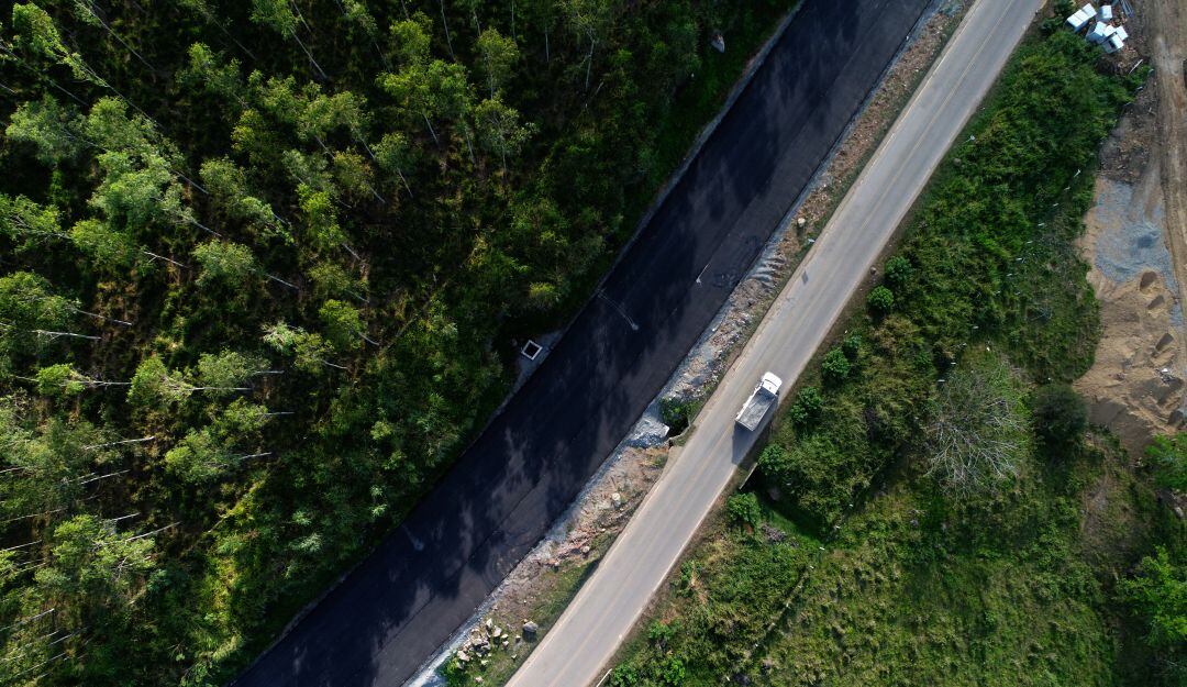 Imagen de referencia