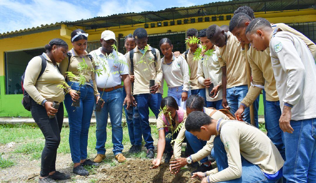 El proyecto incluye la gestión de recolección de basuras y residuos sólidos