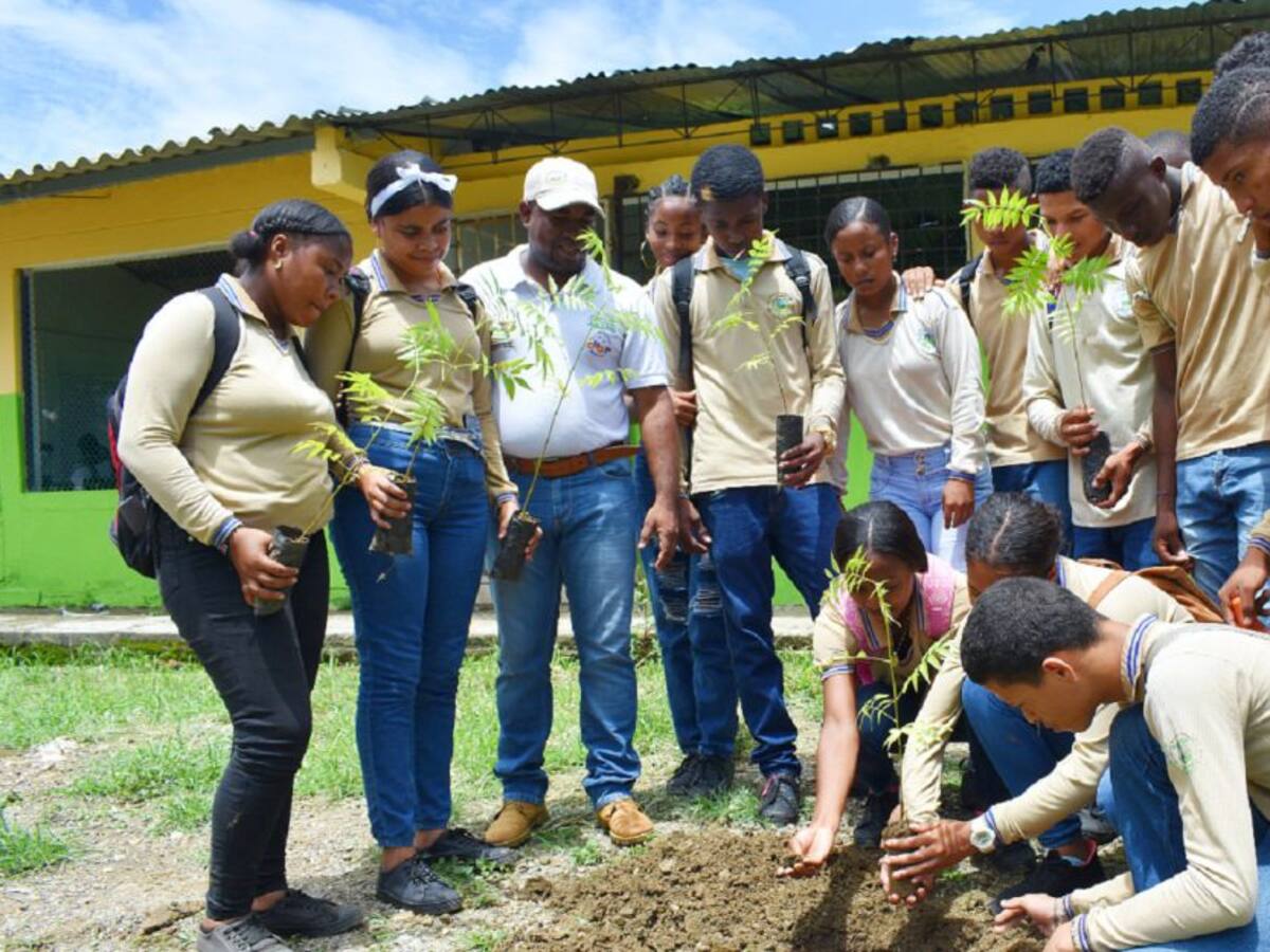 Colegio de María La Baja y Cardique realizaron siembra de 500 árboles