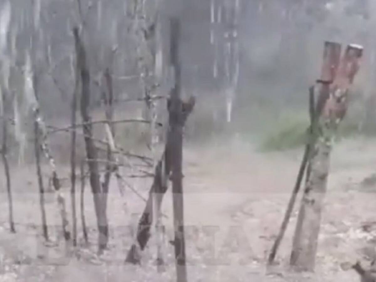 Fuerte granizada afectó cultivos en Curití