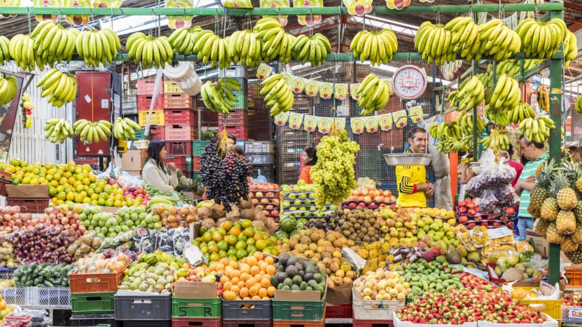 Alto costo de los alimentos restringe las compras en los hogares