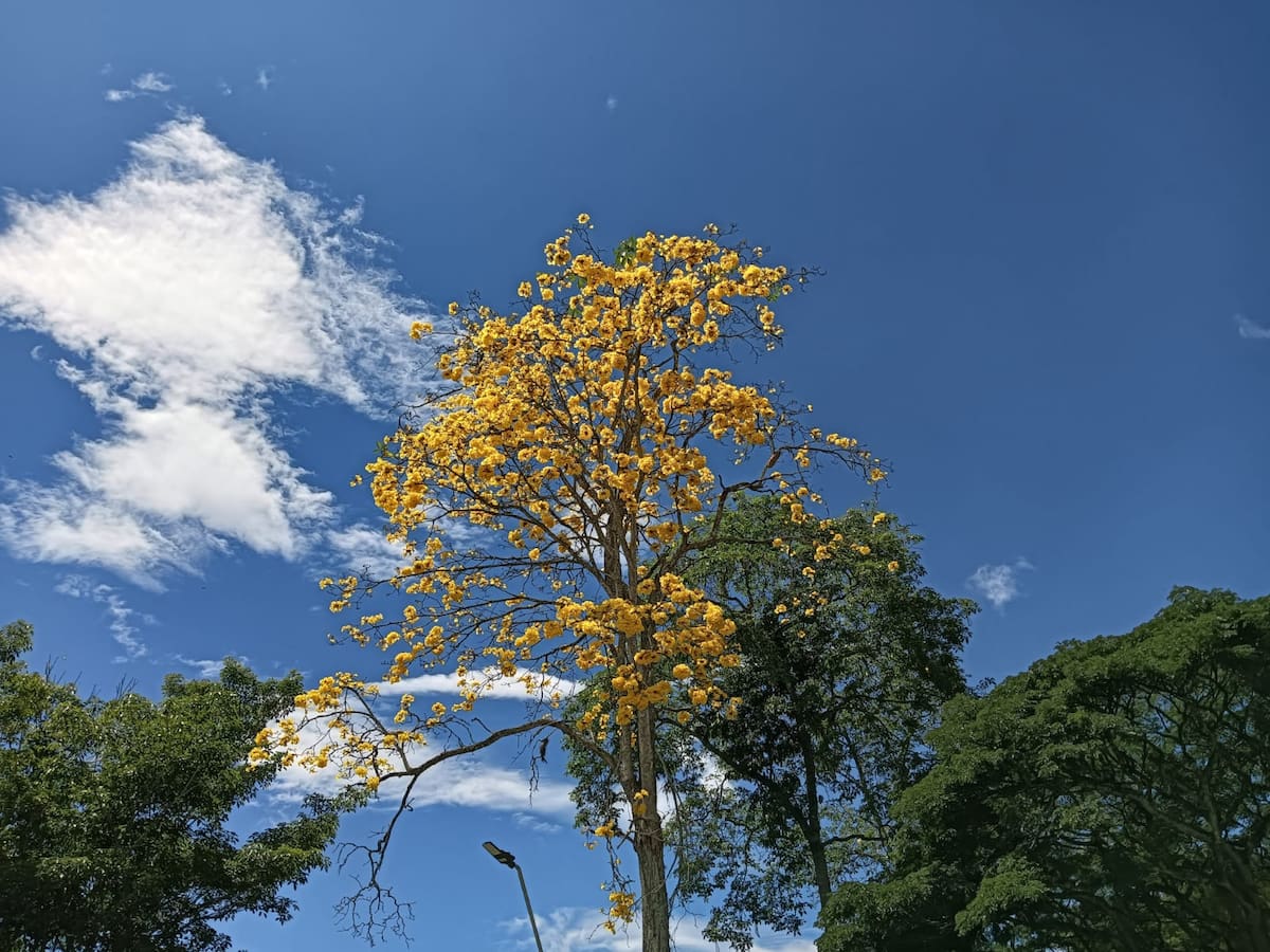 Martes 23 de julio, las noticias más importantes de Armenia y Quindío