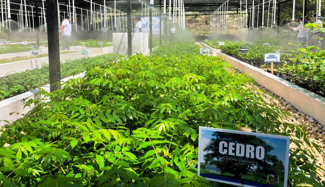 El objetivo de preservar el ambiente y mitigar los efectos de los gases de efecto invernadero