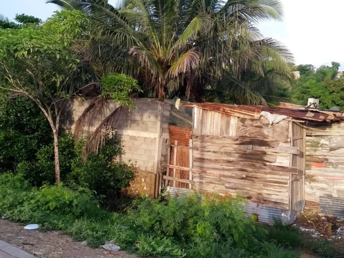 Lanzan campaña ‘SoliDARízate con Cartagena’