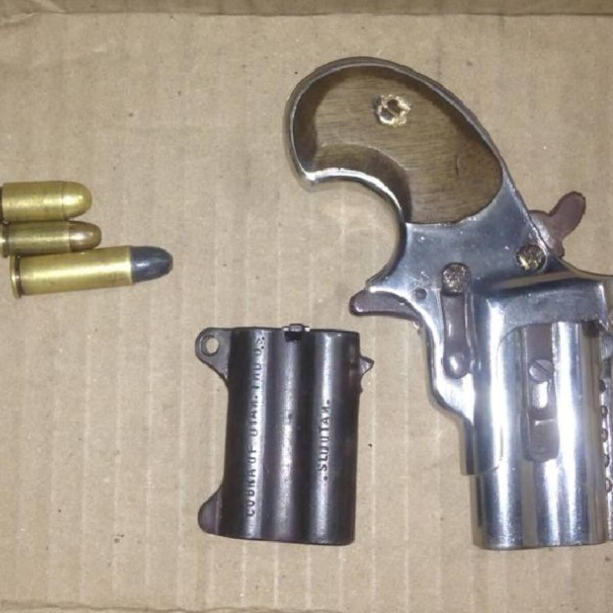Apoyo del canino Logan permite captura por porte de armas en Manizales
