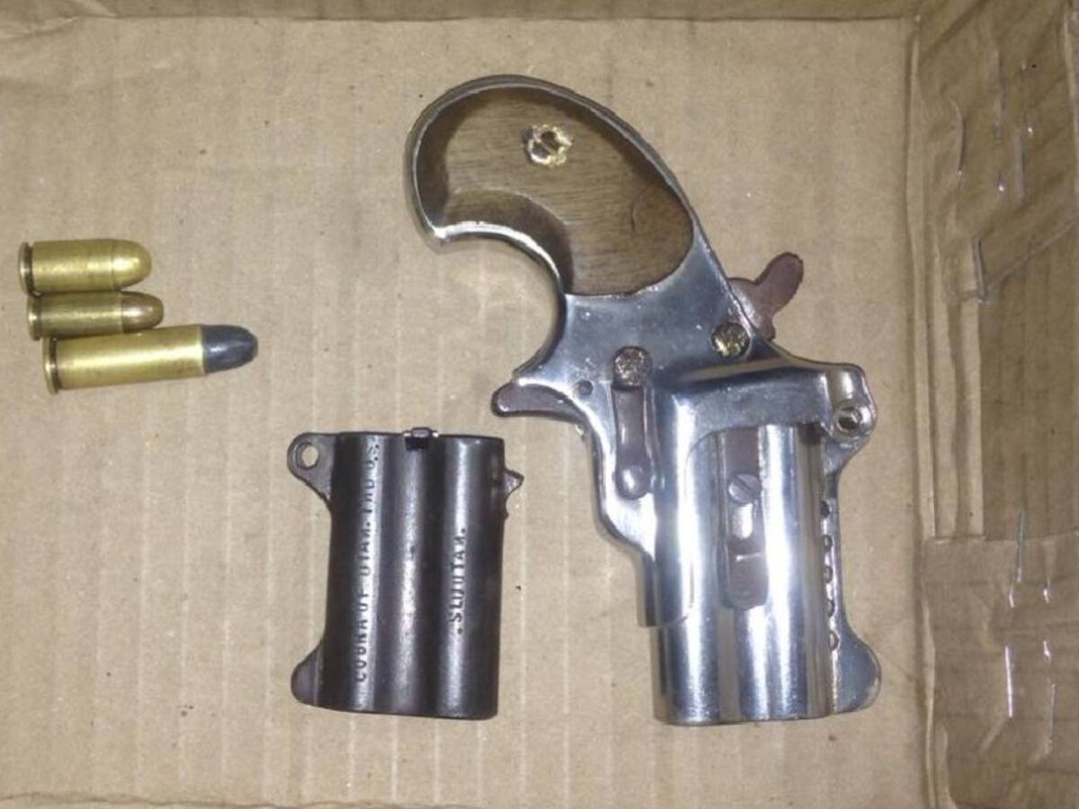 Apoyo del canino Logan permite captura por porte de armas en Manizales