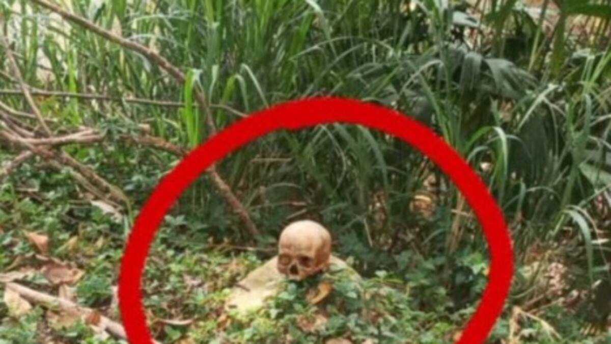 Hallazgo macabro en Piedecuesta: encuentran un cráneo humano en un caño