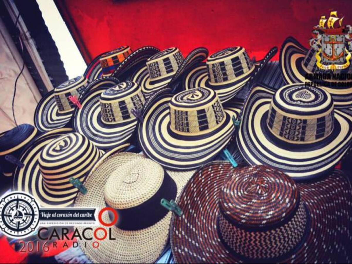 El drama de la escasez de caña flecha para hacer sombreros vueltiaos